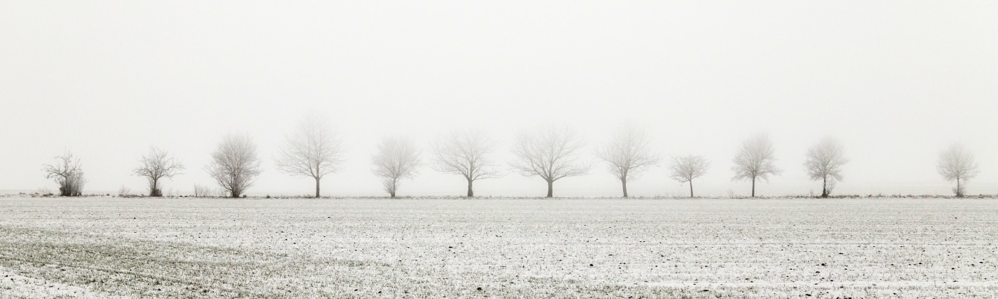 Header Fahrsicherheit im Winter