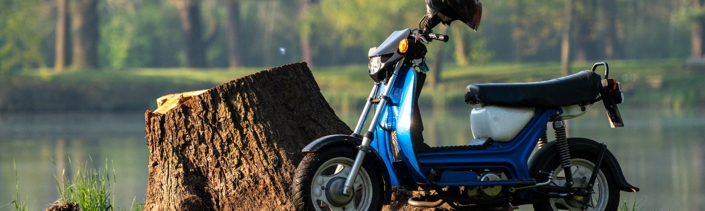 Header Moped