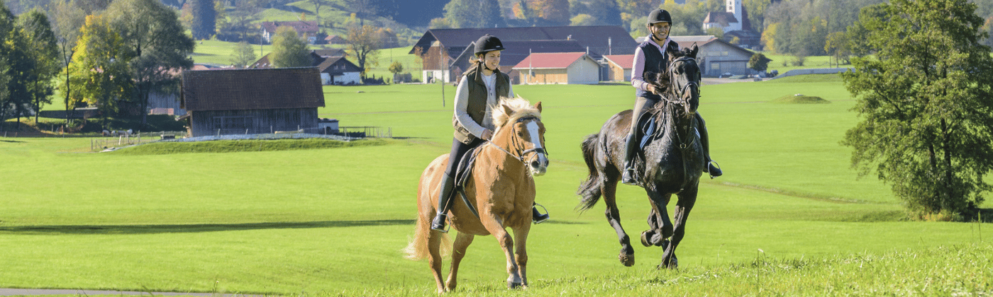 Darf Man Mit Einem Pferd In Der Stadt Reiten