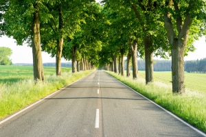 Höchstgeschwindigkeiten sind für LKW und Autos auf Landstraßen in Deutschland unterschiedlich geregelt.