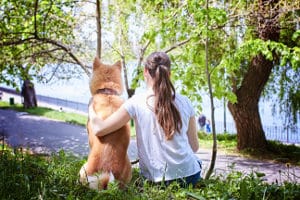 Hundegebell ist eine Ruhestörung, wenn sie als unzumutbar einzustufen ist.