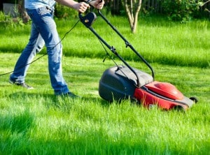 Das Immissionsschutzgesetz soll auch Ruhestörungen durch Rasenmäherlärm verhindern