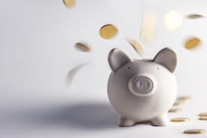 Müssen Sie, um die Kosten für den A1-Führershcien zu stemmen, Ihr Sparschwein schlachten?
