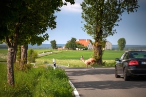 Auf der Landstraße hilft die Höchstgeschwindigkeit das Unfallrisiko zu mindern.