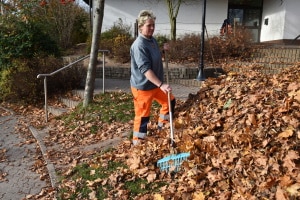 Wer muss sich im Herbst darum kümmern, das Laub zu entfernen?