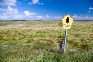 Wollen Sie „offroad“ einen Unfall vermeiden, sollten Sie ein geeignetes Fahrzeug wählen. 