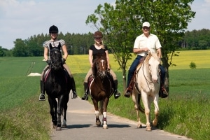 Nebeneinander zu reiten, ist im Straßenverkehr verboten.