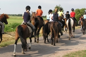 StVO: Beim Reiten im Verband müssen nur das vordere und das hintere Ende beleuchtet werden, wenn die Sichtverhältnisse schlecht sind.