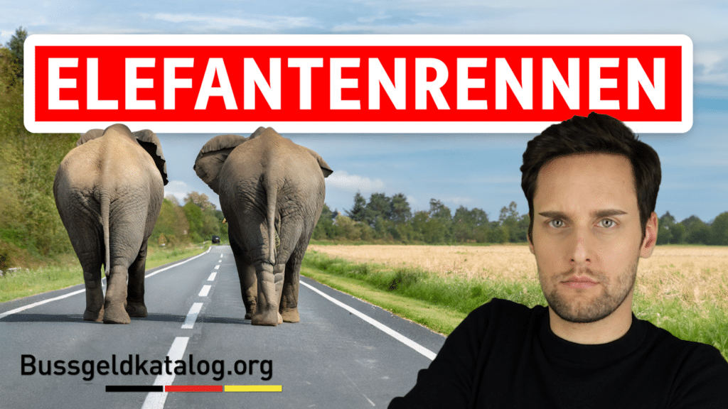 Elefantenrennen: Alles Wichtige erfahren Sie in diesem Video!
